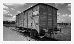 Wagon GS.jpg