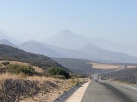 IMG_3750.jpg