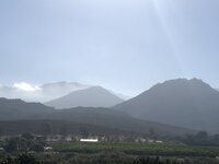 IMG_3752.jpg