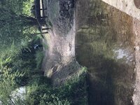 D06125A9-BCB3-4A9B-B96C-478CD75F24A5.jpg