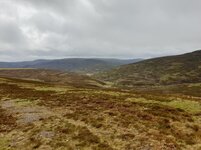 20190522_124556.jpg