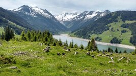 IMG_20180528_114537566_HDR.jpg