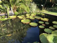 IMG_3819.jpg