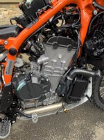 IMG_2296.jpg