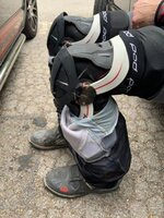 Knee 7.jpg