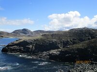 IMG_0246.jpg