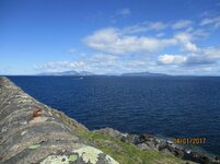 IMG_0248.jpg