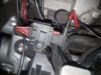 pic2.jpg