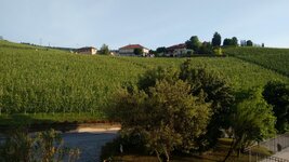 IMG_20180605_071306339.jpg
