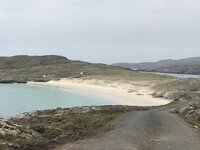 IMG_2420.jpg