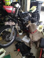 IMG_3029.jpg