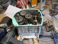 IMG_0866.jpg