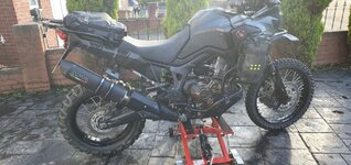 Tail Tidy 1.jpg