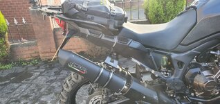 Tail Tidy 2.jpg