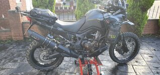 Tail Tidy 4.jpg
