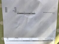 IMG_5384.jpg