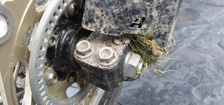 20190811_094845.jpg