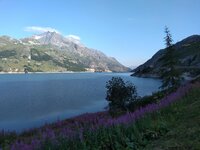 IMG_20180805_083235216.jpg