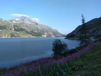 IMG_20180805_083237988.jpg