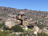 IMG_3974.jpg