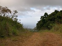 EEDB3725-4F3E-4833-97DB-D37955880E81.jpg