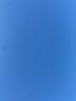 IMG_3178.JPG