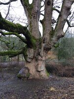 5C0DB860-267A-418E-967C-B32D3502CD6B.jpg