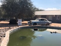 IMG_4026.jpg
