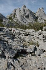 DSC_3945.jpg