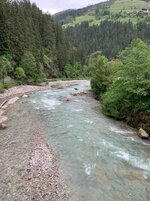 IMG_2826.jpg