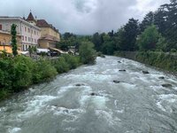 IMG_2830.jpg