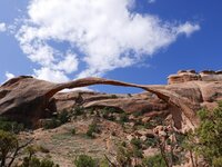 IMG_2382.jpg
