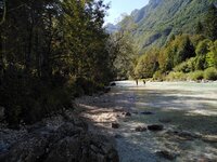 IMG_20190913_112928.jpg