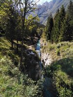 IMG_20190913_112547.jpg