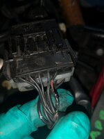 bmw 1.jpg