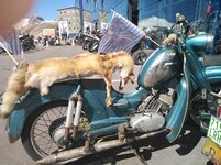 IMG_20190915_133835.jpg