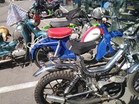 IMG_20190915_135808.jpg