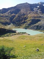 IMG_20190915_132158.jpg