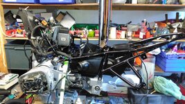 IMG_20191007_170343.jpg
