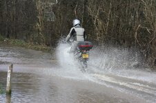IMG_4093.jpg