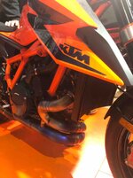 IMG_3383.jpg