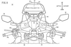 Fig8.jpg