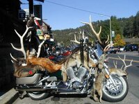 hunting bike.jpg