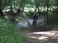 img_1122.jpg