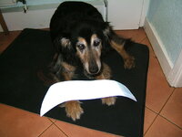 dscf0129.jpg