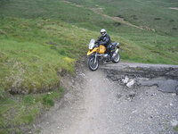 mamtor2.jpg