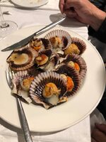 Scallops.jpg