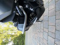 IMG_1051.jpg