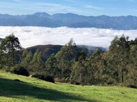 clouds 3.jpg