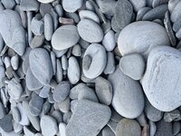 C1DB8519-84AB-473C-AA9B-D111AAC0E883.jpg